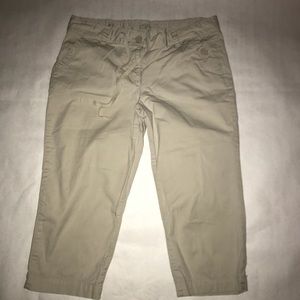 Loft Capri pants